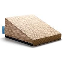 SANTERPLUS Flexcushion ベージュ 日本製 Amazon | SANTEPLUS(サンテプラス) フレックスクッション(ベージュ) FC